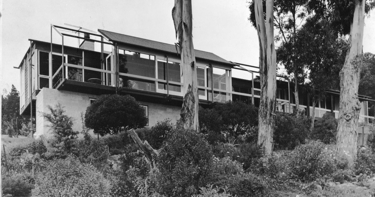 12 Balmoral Lane Christchurch Modern